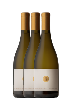 FFS 2022 Gruner Veltliner Case